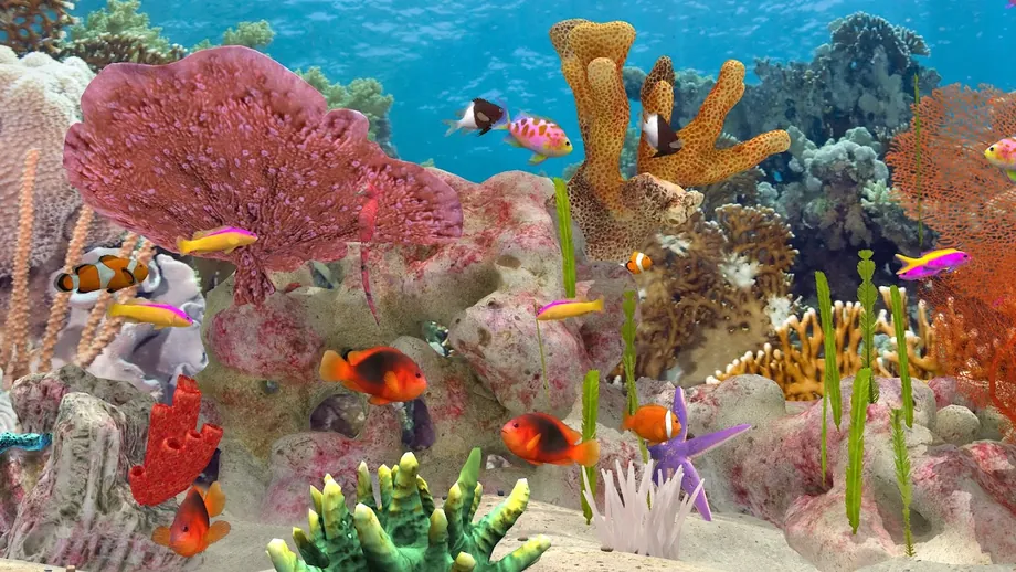Recife de coral em 3D no Fish Farm 3, com peixes-palhaço, antias cor-de-rosa e uma estrela-do-mar lilás